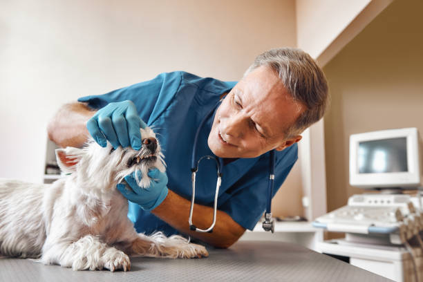 Best Emergency Dental Care for Trauma or Injury in Pymatuning Central, PA